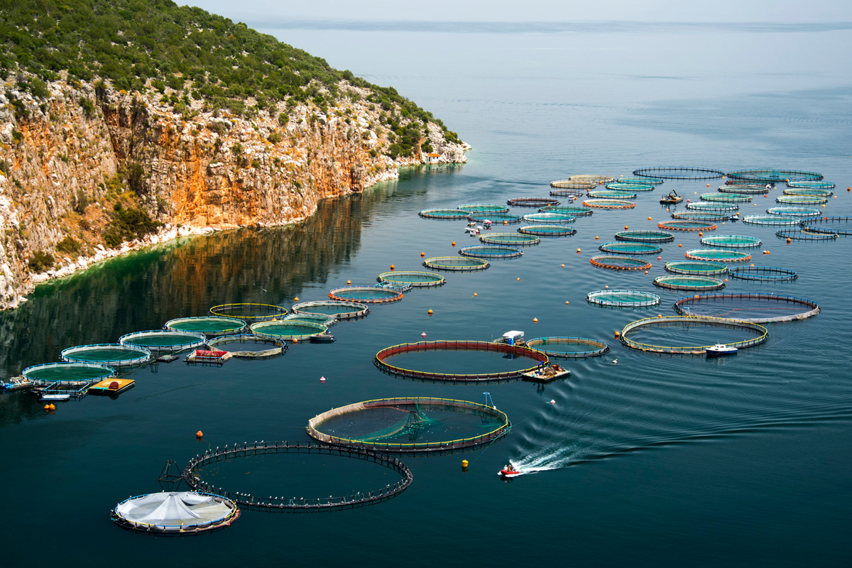 An image of a fish farm off the coast of Greece