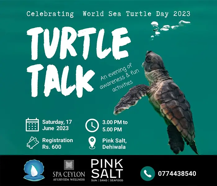 Turtle Talk June 2023 Banner Image