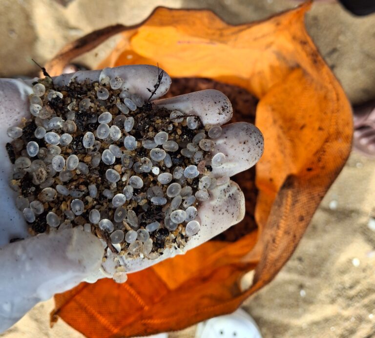 WhatsApp Image 2025-10-27 at 11.55