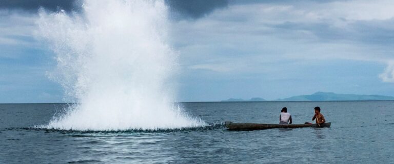 Image Credit - WCS Indonesia