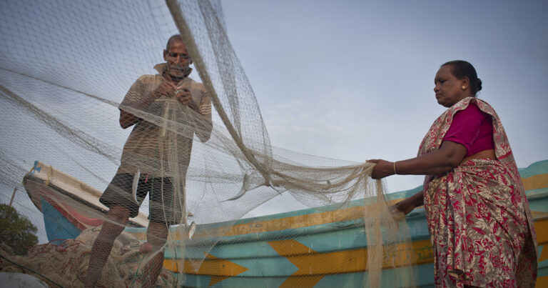 Thiruchelvam and his wife Nesam sorts small fish from the net af