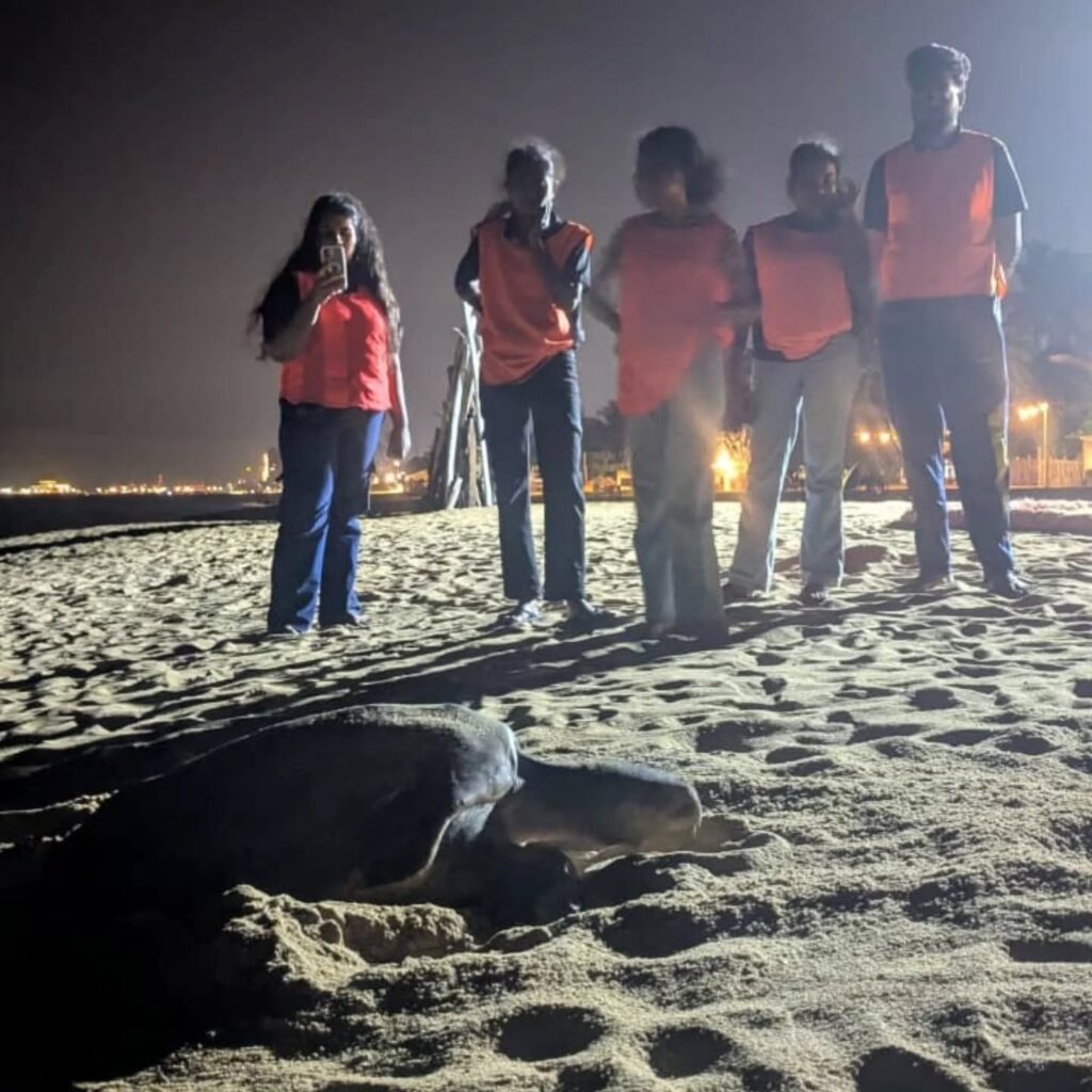 Instagram post from pearlprotectors. This post is in position 16.