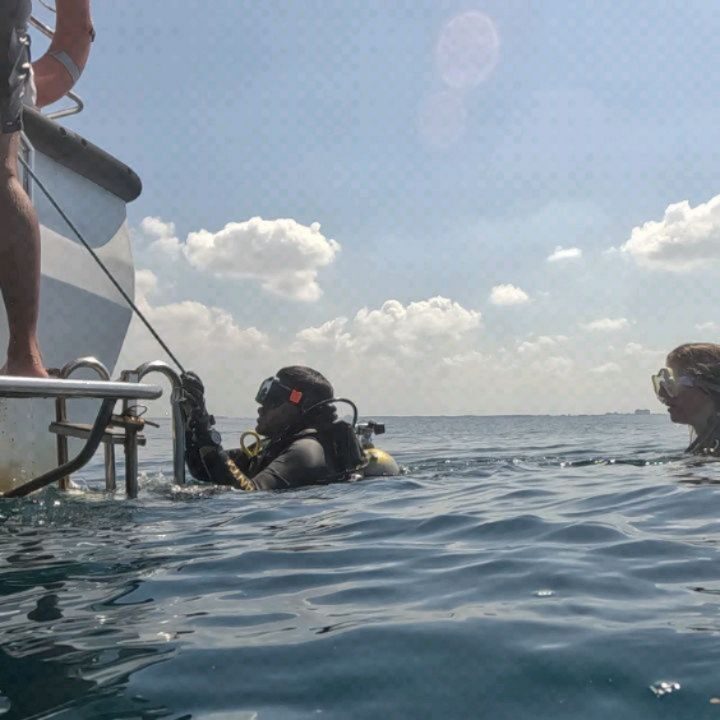 Instagram post from pearlprotectors. This post is in position 14.