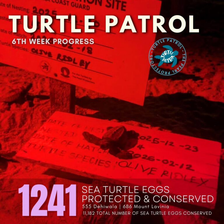 Instagram post from pearlprotectors. This post is in position 5.