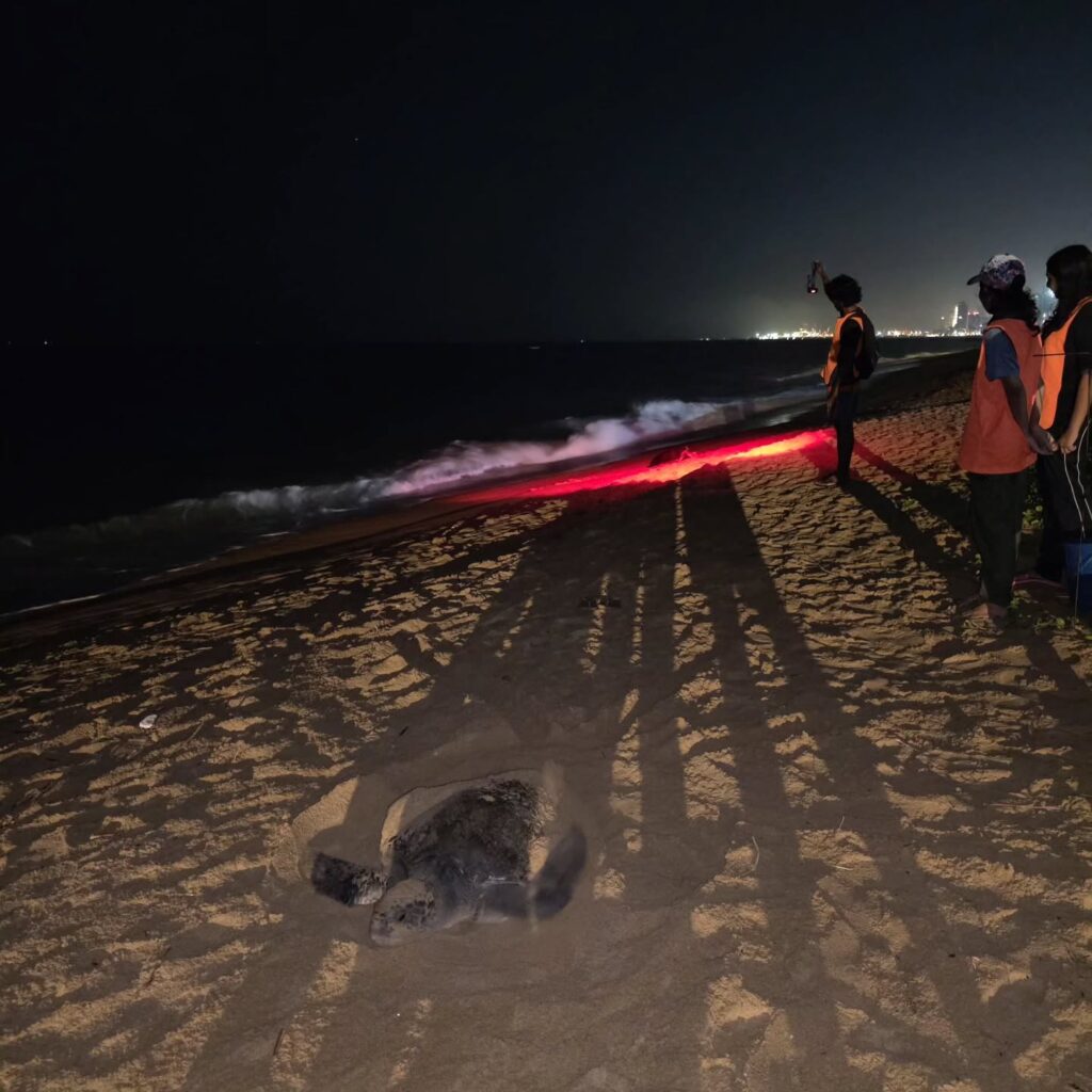 Instagram post from pearlprotectors. This post is in position 18.