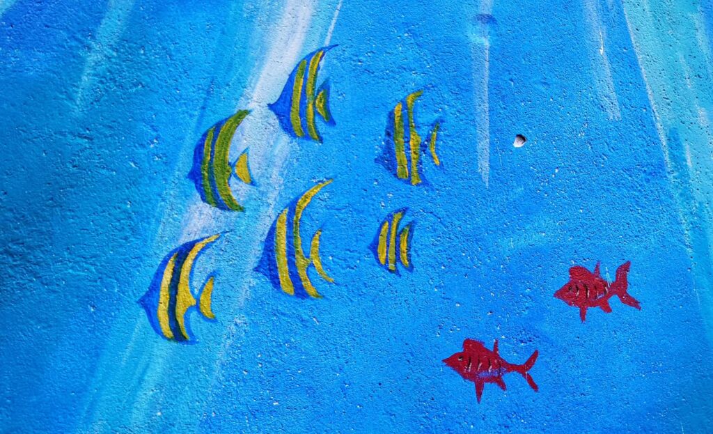 Instagram post from pearlprotectors. This post is in position 12.