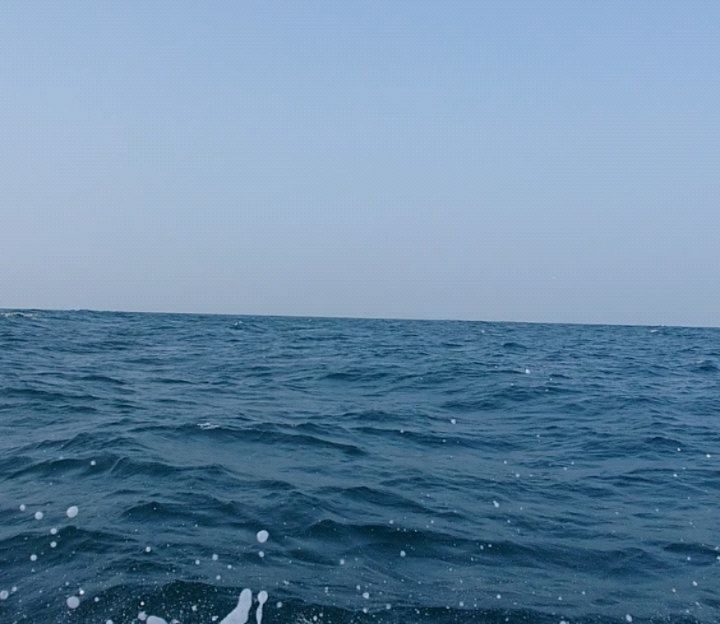 Instagram post from pearlprotectors. This post is in position 2.