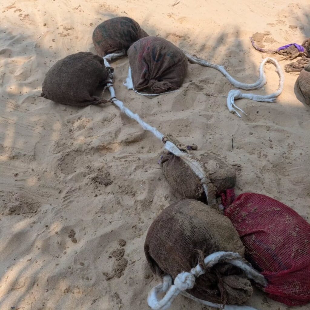 Instagram post from pearlprotectors. This post is in position 4.