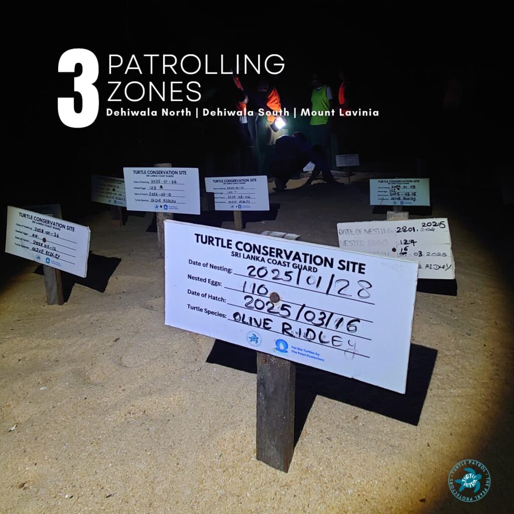Instagram post from pearlprotectors. This post is in position 6.