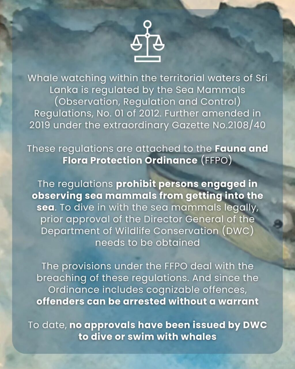 Instagram post from pearlprotectors. This post is in position 1.