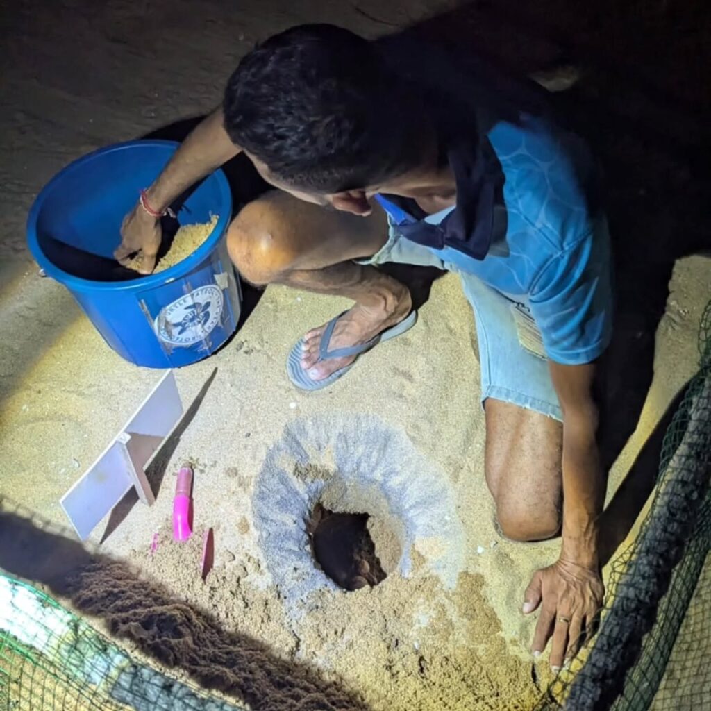 Instagram post from pearlprotectors. This post is in position 13.