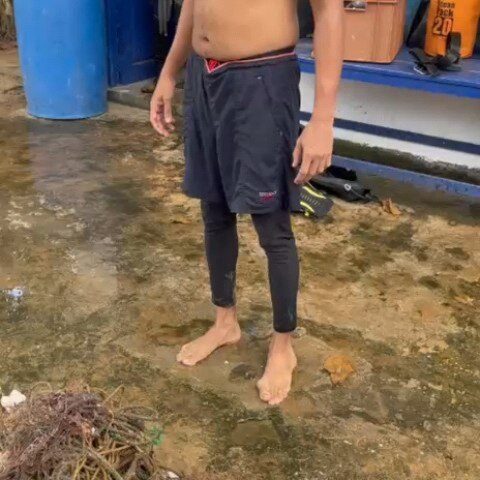 Instagram post from pearlprotectors. This post is in position 16.