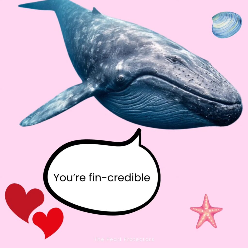 Instagram post from pearlprotectors. This post is in position 9.