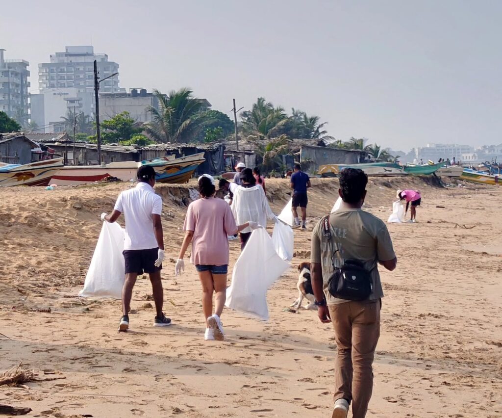 Instagram post from pearlprotectors. This post is in position 6.