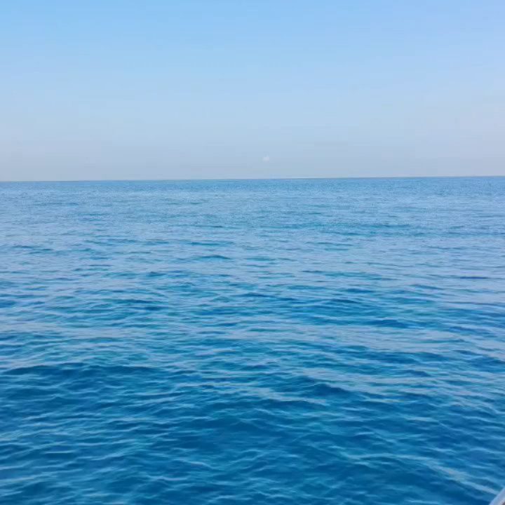 Instagram post from pearlprotectors. This post is in position 1.