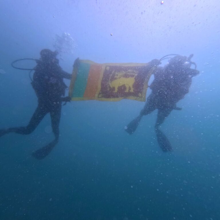 Instagram post from pearlprotectors. This post is in position 10.