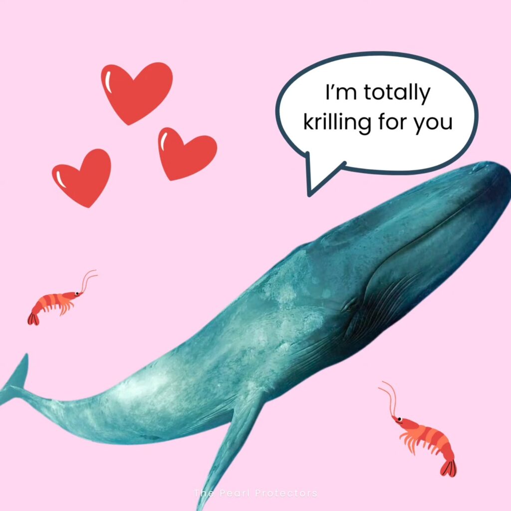 Instagram post from pearlprotectors. This post is in position 1.