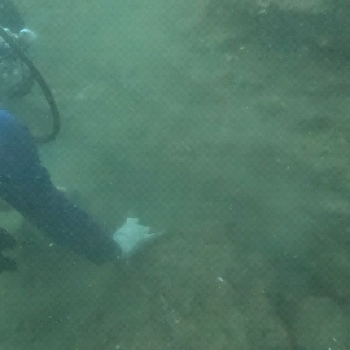 Instagram post from pearlprotectors. This post is in position 6.