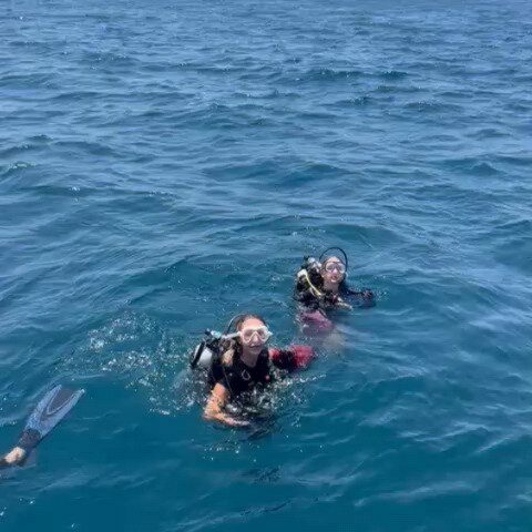 Instagram post from pearlprotectors. This post is in position 15.