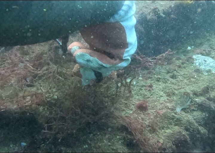 Instagram post from pearlprotectors. This post is in position 15.