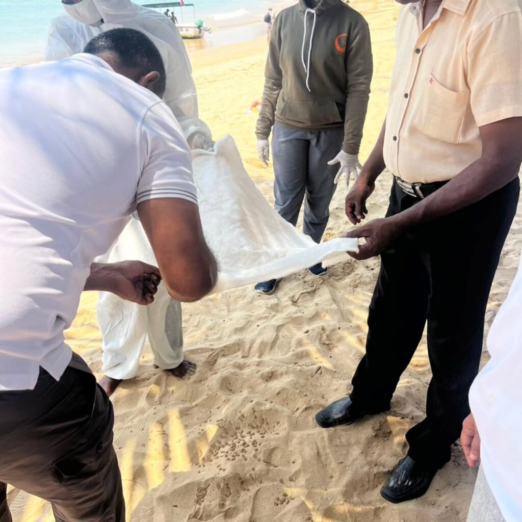 Instagram post from pearlprotectors. This post is in position 5.