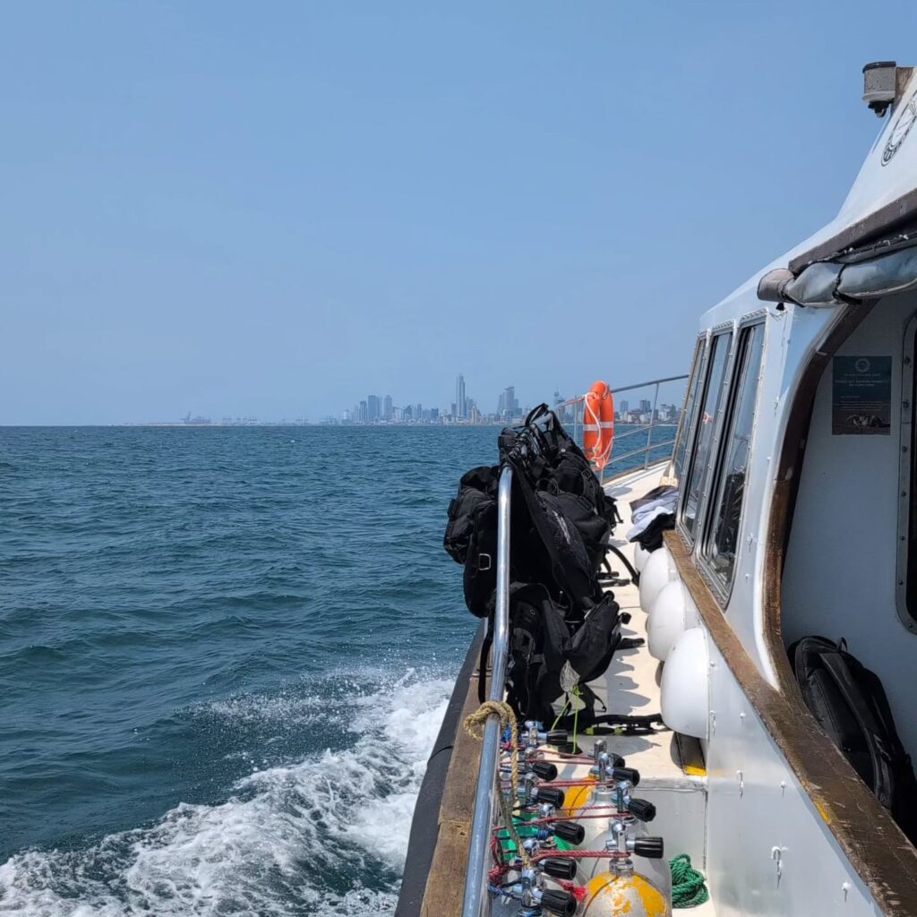 Instagram post from pearlprotectors. This post is in position 17.