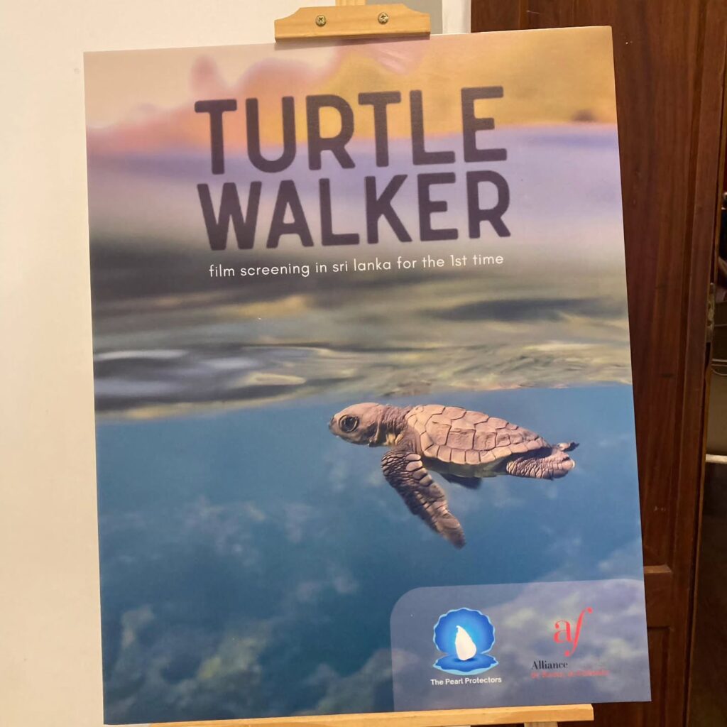 Instagram post from pearlprotectors. This post is in position 4.