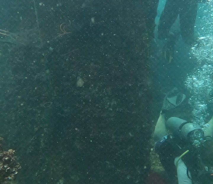 Instagram post from pearlprotectors. This post is in position 8.