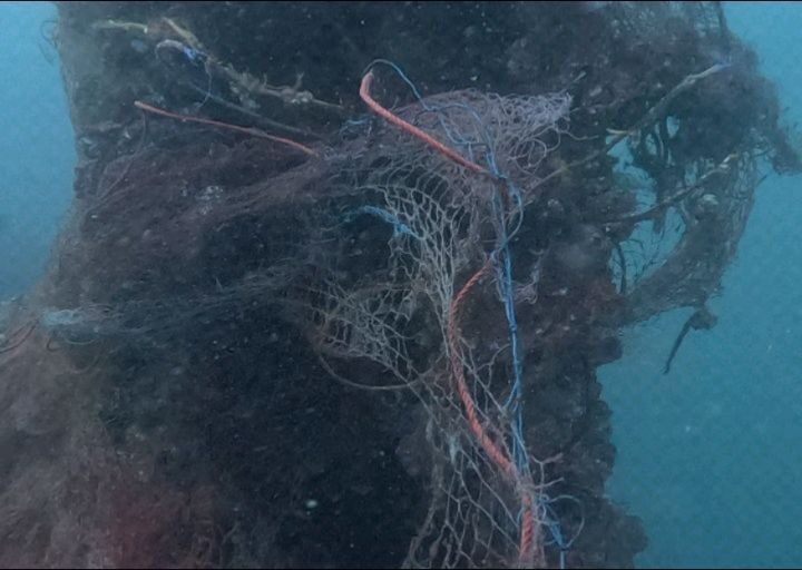 Instagram post from pearlprotectors. This post is in position 7.