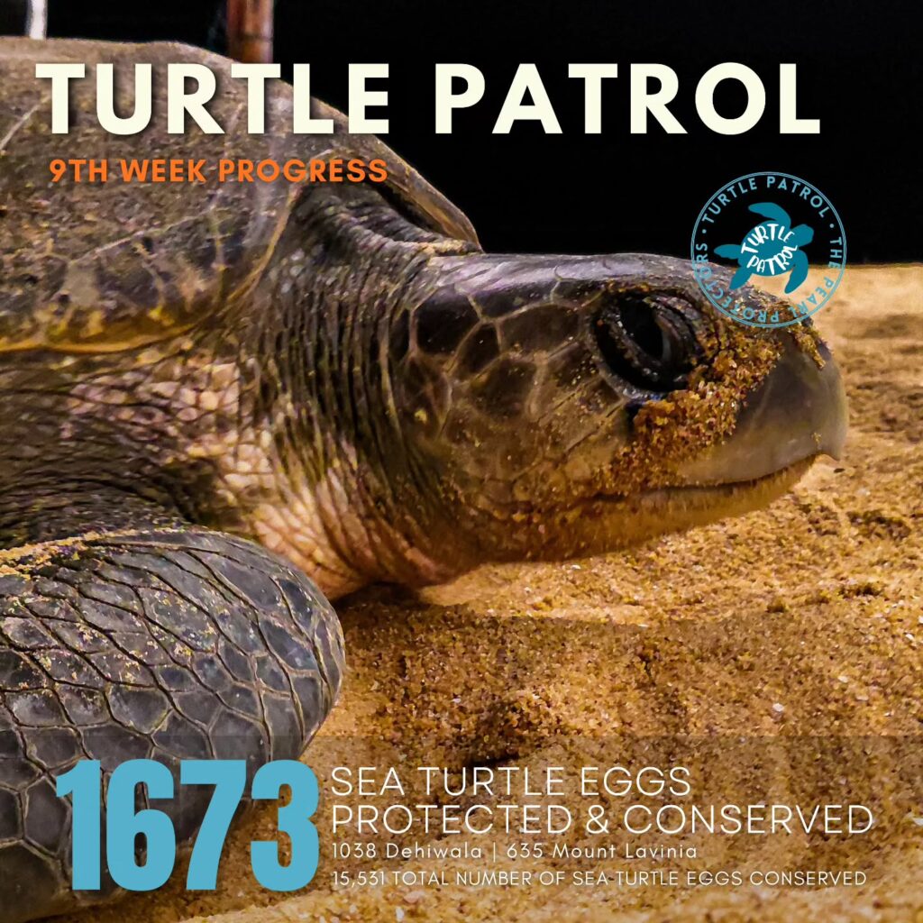 Instagram post from pearlprotectors. This post is in position 0.