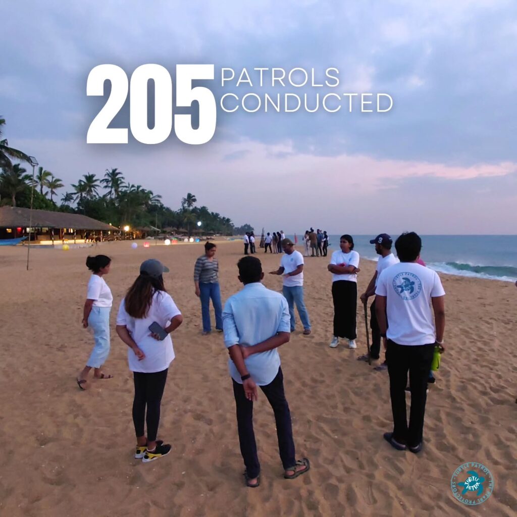 Instagram post from pearlprotectors. This post is in position 1.