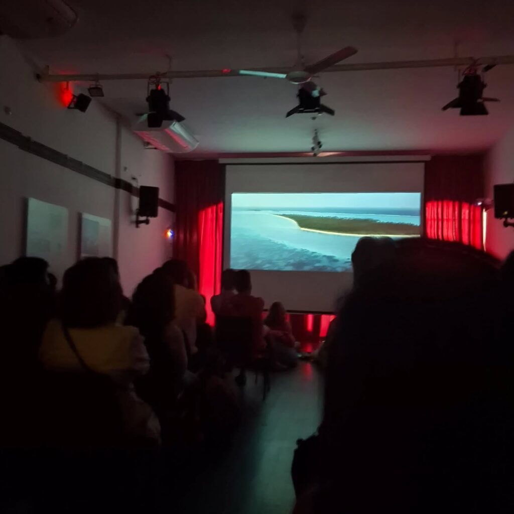 Instagram post from pearlprotectors. This post is in position 2.