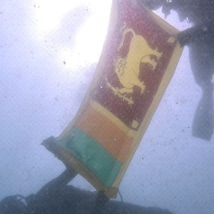 Instagram post from pearlprotectors. This post is in position 14.