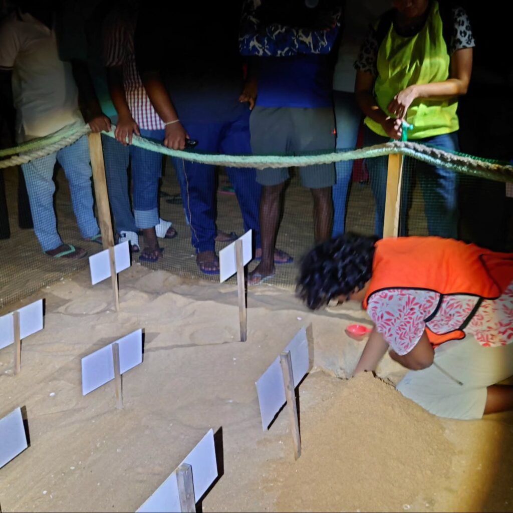 Instagram post from pearlprotectors. This post is in position 18.