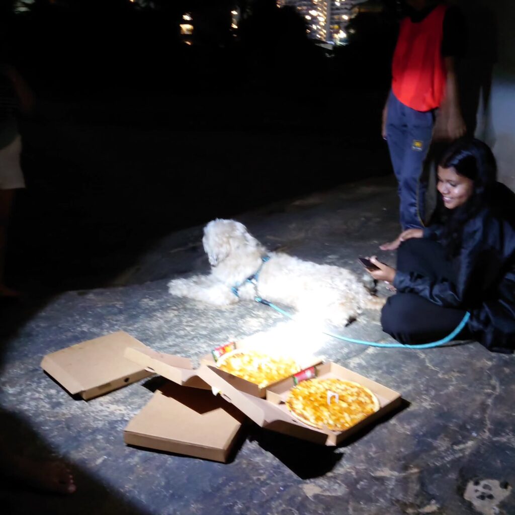 Instagram post from pearlprotectors. This post is in position 9.