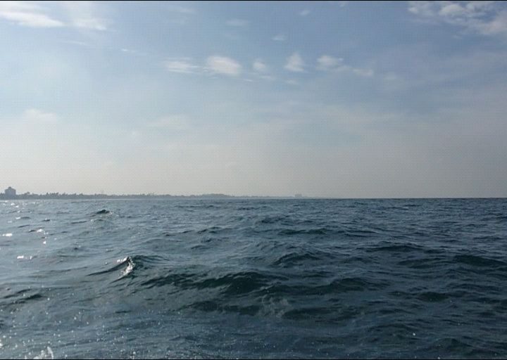 Instagram post from pearlprotectors. This post is in position 4.