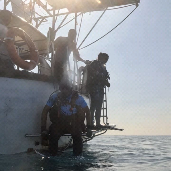 Instagram post from pearlprotectors. This post is in position 2.