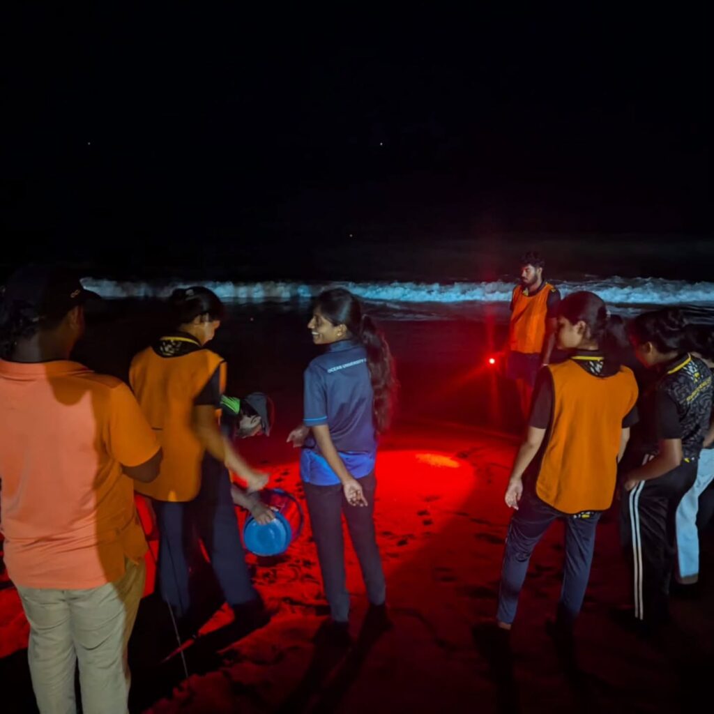 Instagram post from pearlprotectors. This post is in position 8.