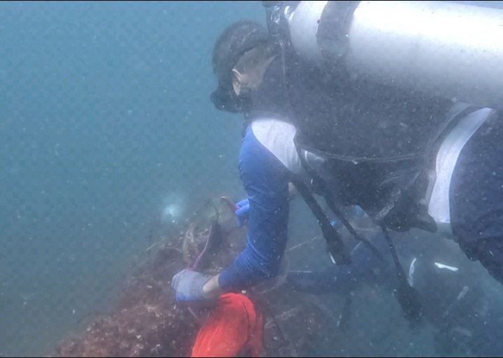 Instagram post from pearlprotectors. This post is in position 8.