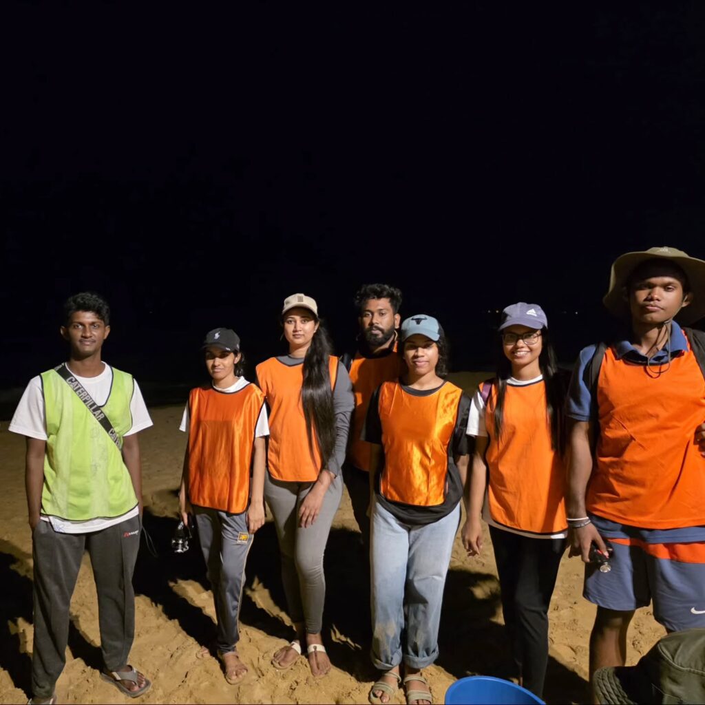 Instagram post from pearlprotectors. This post is in position 4.