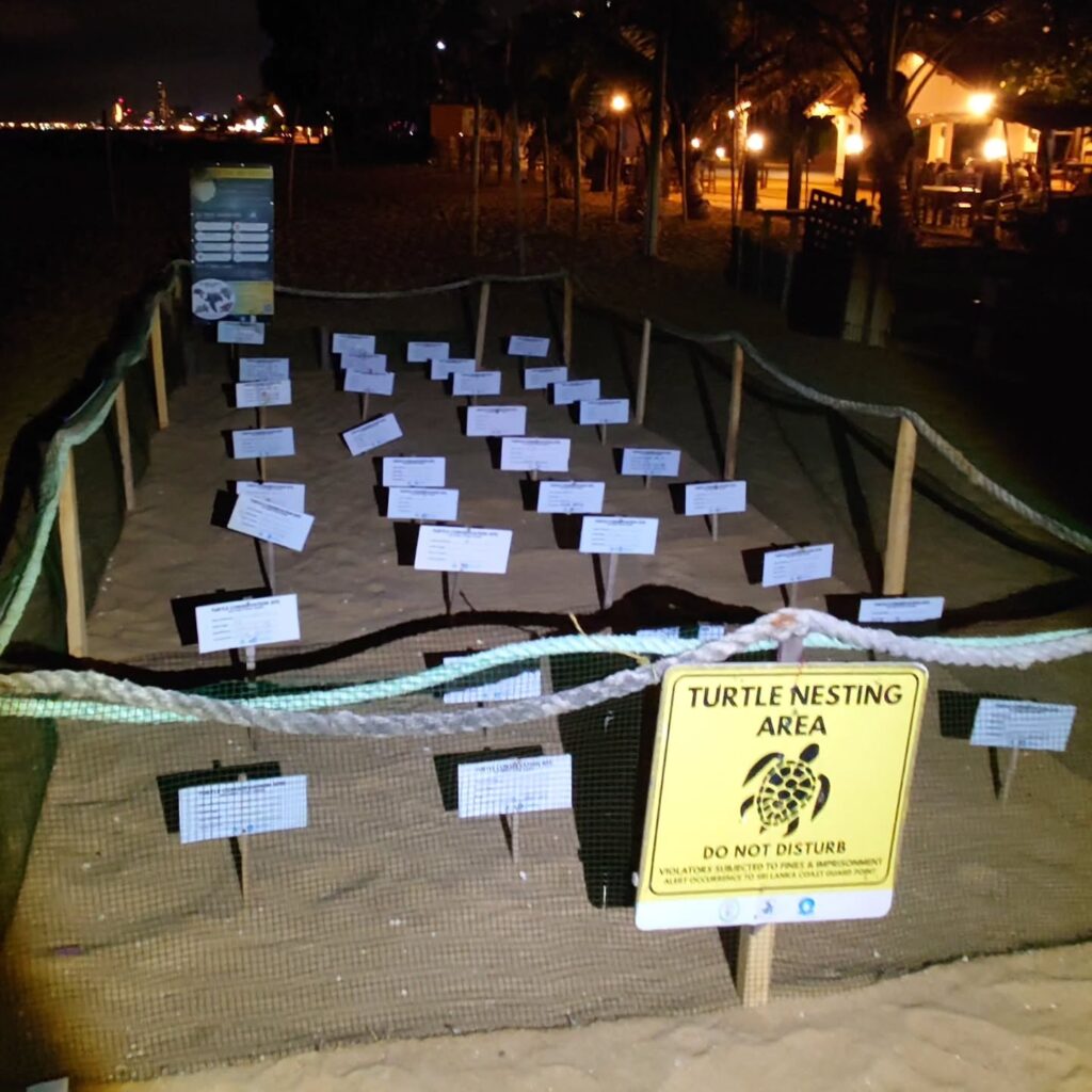 Instagram post from pearlprotectors. This post is in position 11.