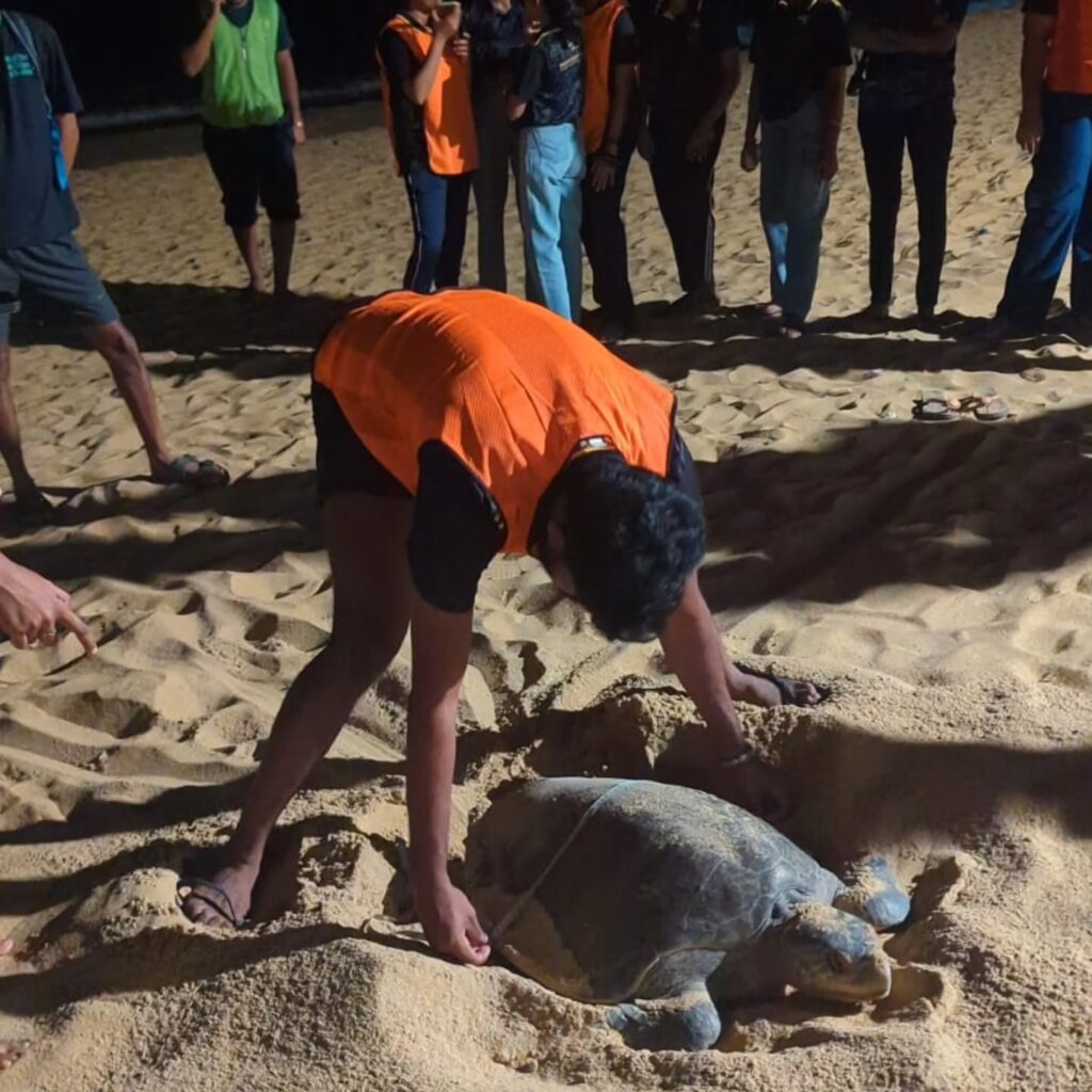 Instagram post from pearlprotectors. This post is in position 12.