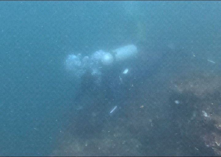 Instagram post from pearlprotectors. This post is in position 10.