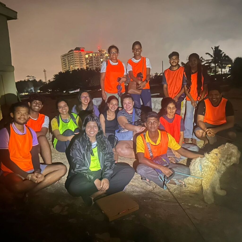 Instagram post from pearlprotectors. This post is in position 7.