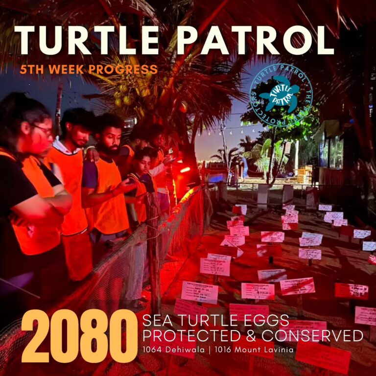 Instagram post from pearlprotectors. This post is in position 8.