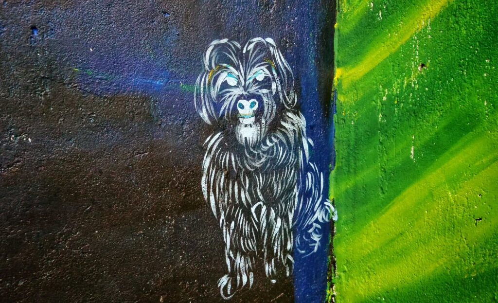 Instagram post from pearlprotectors. This post is in position 17.