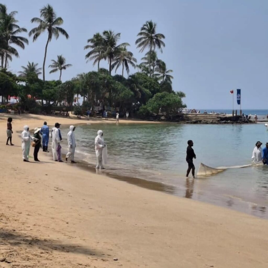 Instagram post from pearlprotectors. This post is in position 9.