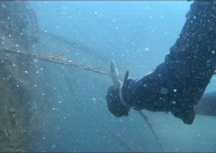 Instagram post from pearlprotectors. This post is in position 9.