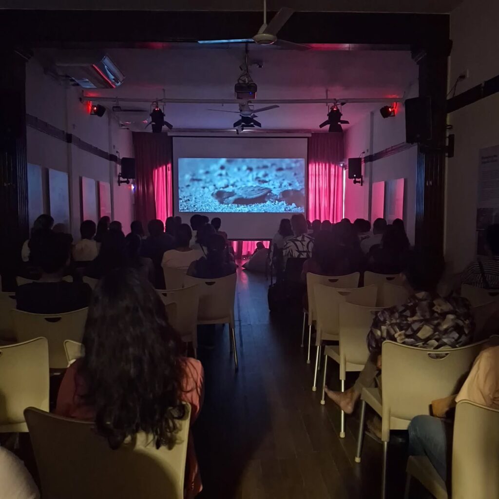 Instagram post from pearlprotectors. This post is in position 1.