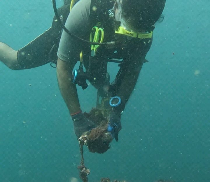 Instagram post from pearlprotectors. This post is in position 6.